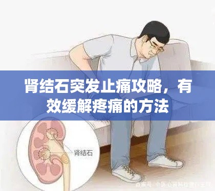 肾结石突发止痛攻略，有效缓解疼痛的方法