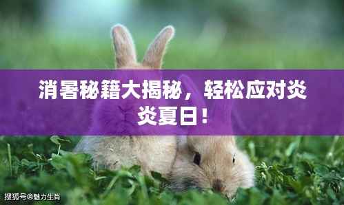 消暑秘籍大揭秘，轻松应对炎炎夏日！