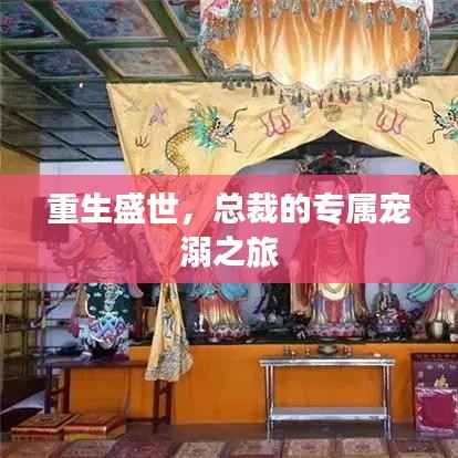 重生盛世,总裁的专属宠溺之旅