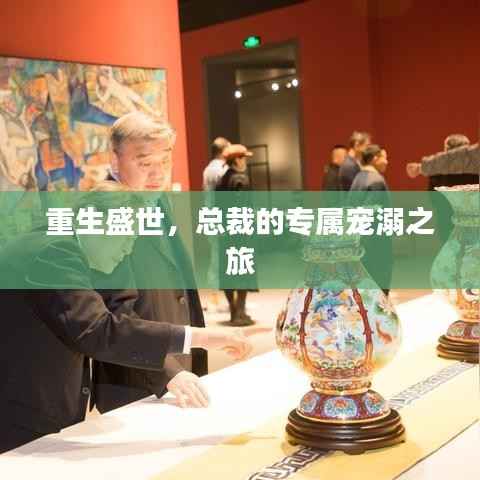 重生盛世,总裁的专属宠溺之旅