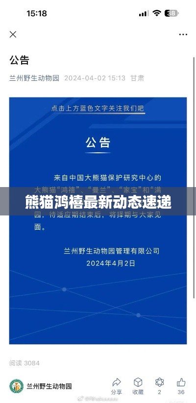 熊猫鸿禧最新动态速递