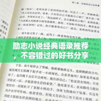 励志小说经典语录推荐，不容错过的好书分享