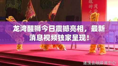 龙湾醒狮今日震撼亮相,最新消息视频独家呈现!