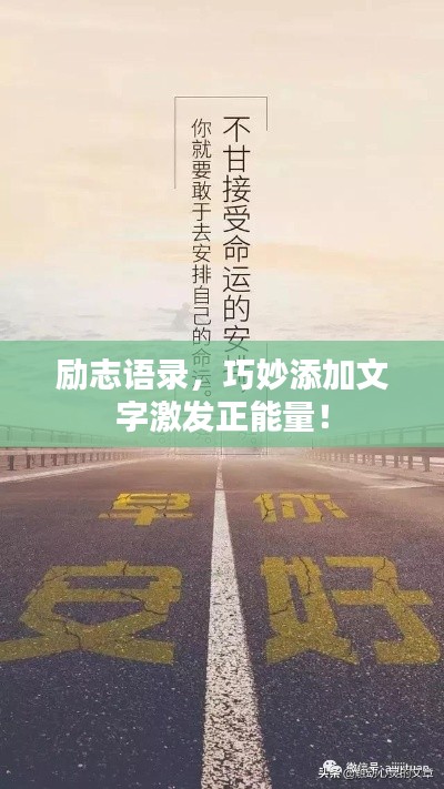励志语录,巧妙添加文字激发正能量!