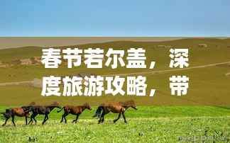 春节若尔盖，深度旅游攻略，带你玩转草原风情！