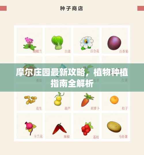 摩尔庄园最新攻略，植物种植指南全解析