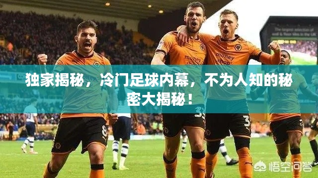 独家揭秘,冷门足球内幕,不为人知的秘密大揭秘!