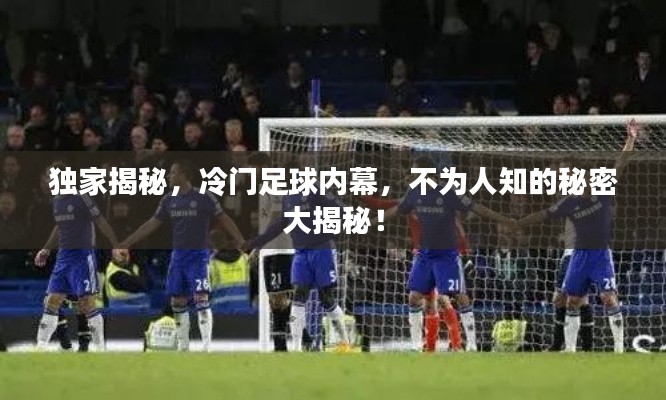 独家揭秘,冷门足球内幕,不为人知的秘密大揭秘!