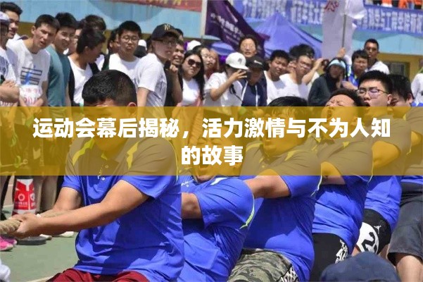 运动会幕后揭秘,活力激情与不为人知的故事