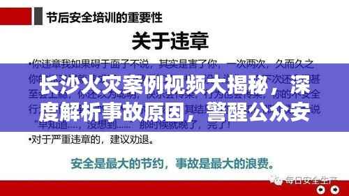 鸟之将死 第5页