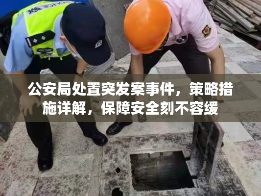 公安局处置突发案事件，策略措施详解，保障安全刻不容缓