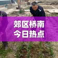 凤凰于飞 第4页