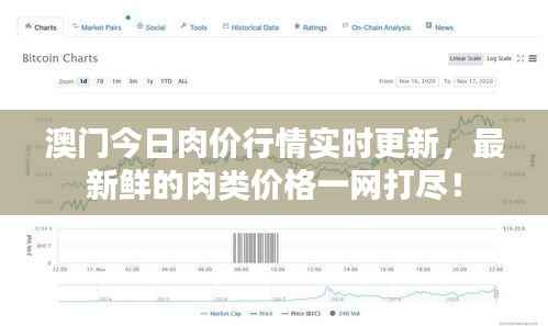 澳门今日肉价行情实时更新，最新鲜的肉类价格一网打尽！