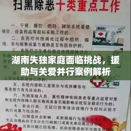 湖南失独家庭面临挑战,援助与关爱并行案例解析