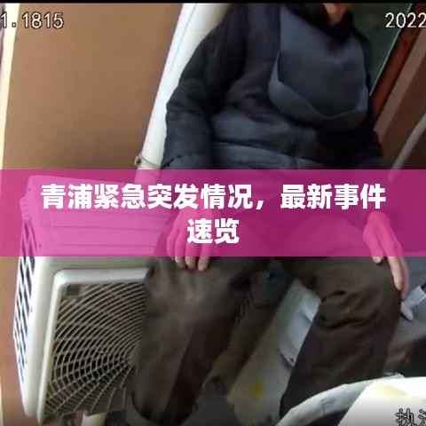 推襟送抱 第5页