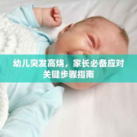 幼儿突发高烧,家长必备应对关键步骤指南