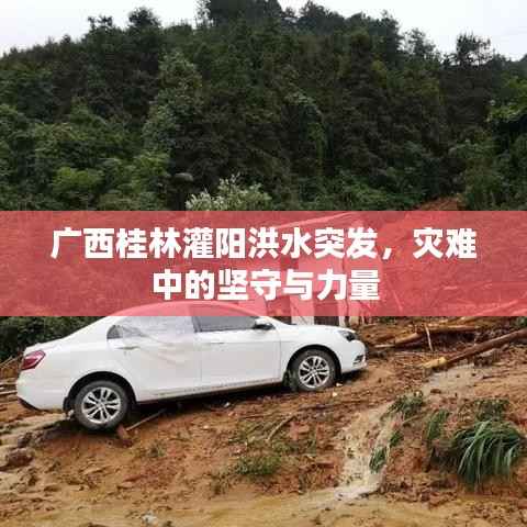广西桂林灌阳洪水突发，灾难中的坚守与力量