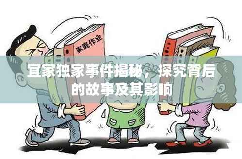 宜家独家事件揭秘，探究背后的故事及其影响