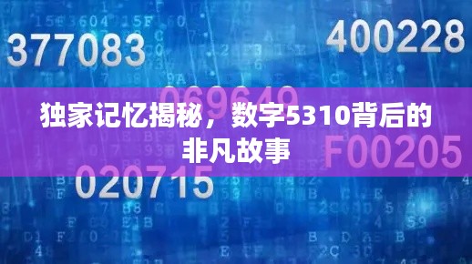 独家记忆揭秘,数字5310背后的非凡故事