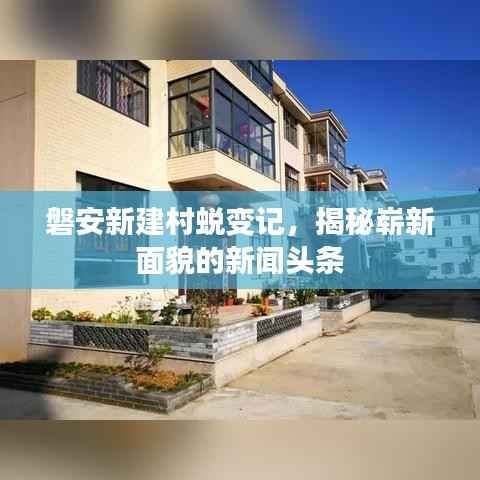 磐安新建村蜕变记，揭秘崭新面貌的新闻头条