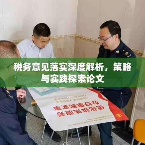 税务意见落实深度解析，策略与实践探索论文