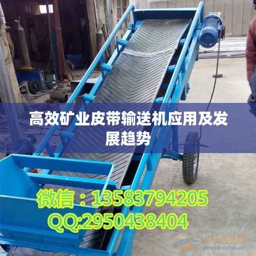 高效矿业皮带输送机应用及发展趋势