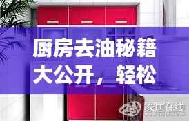 厨房去油秘籍大公开，轻松打造洁净环境，专业清洁技巧揭秘！
