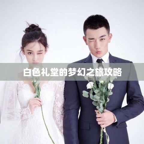 白色礼堂的梦幻之旅攻略