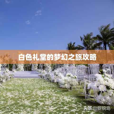 白色礼堂的梦幻之旅攻略