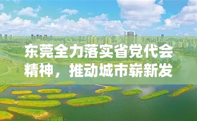 东莞全力落实省党代会精神，推动城市崭新发展篇章