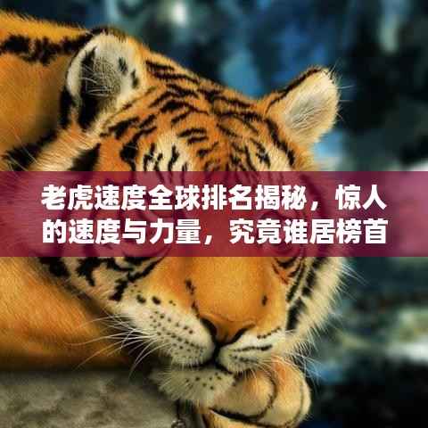 老虎速度全球排名揭秘,惊人的速度与力量,究竟谁居榜首?