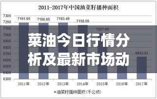 菜油今日行情分析及最新市场动态消息速递