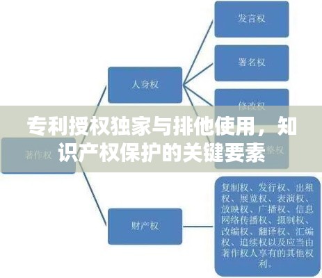专利授权独家与排他使用，知识产权保护的关键要素