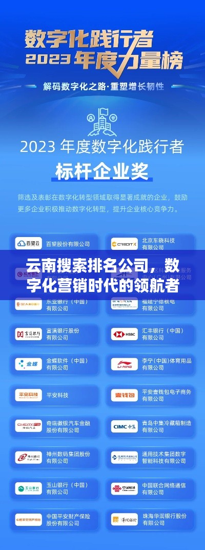 云南搜索排名公司，数字化营销时代的领航者