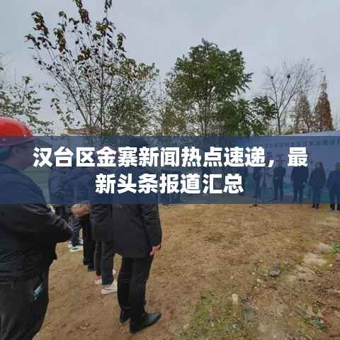 汉台区金寨新闻热点速递，最新头条报道汇总