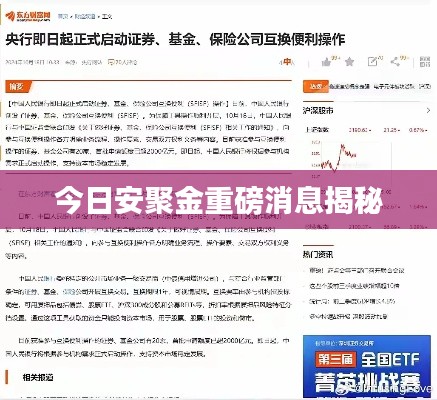 今日安聚金重磅消息揭秘