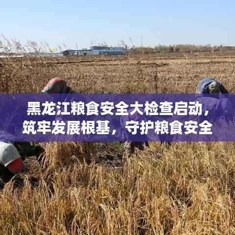 黑龙江粮食安全大检查启动，筑牢发展根基，守护粮食安全防线！