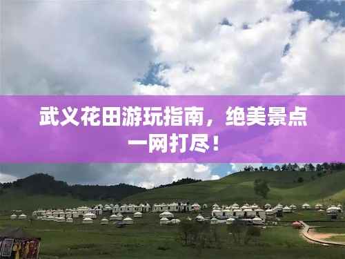 武义花田游玩指南，绝美景点一网打尽！