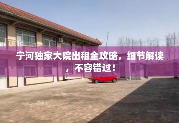宁河独家大院出租全攻略，细节解读，不容错过！