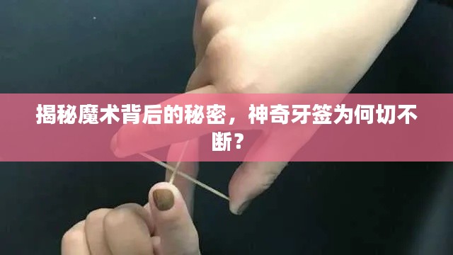 揭秘魔术背后的秘密,神奇牙签为何切不断?