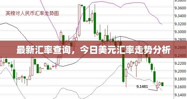 最新汇率查询，今日美元汇率走势分析