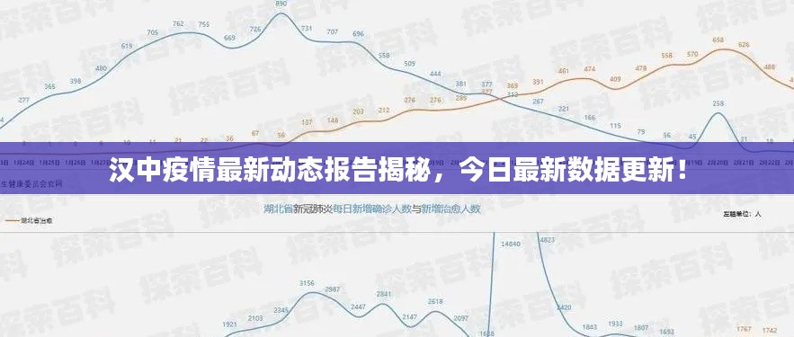 汉中疫情最新动态报告揭秘,今日最新数据更新!