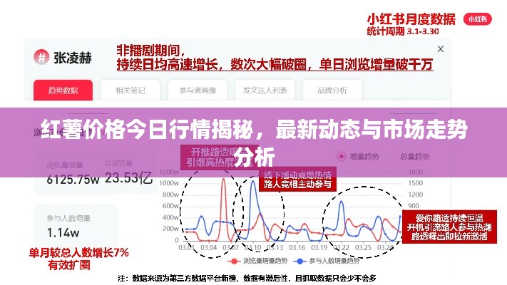 红薯价格今日行情揭秘,最新动态与市场走势分析