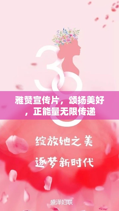 走马观花 第4页