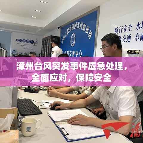 漳州台风突发事件应急处理,全面应对,保障安全