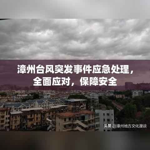 漳州台风突发事件应急处理，全面应对，保障安全