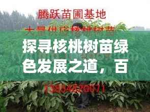 探寻核桃树苗绿色发展之道,百度带你走进生态繁荣的世界