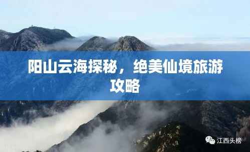 阳山云海探秘，绝美仙境旅游攻略