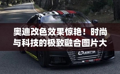奥迪改色效果惊艳！时尚与科技的极致融合图片大全欣赏