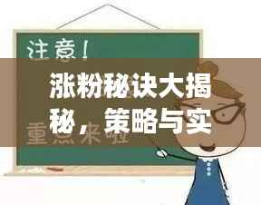 涨粉秘诀大揭秘,策略与实践,轻松吸引关注者增长!